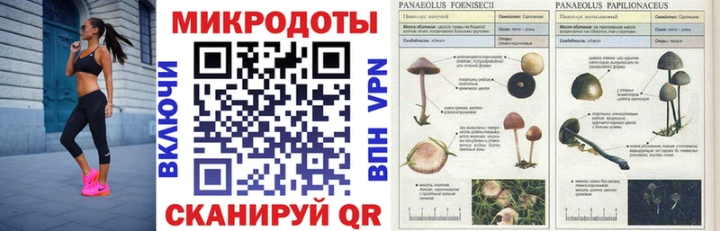 Псилоцибиновые грибы GOLDEN TEACHER  Туран 